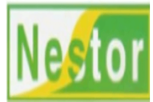 nestor