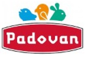 Padovan