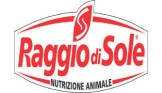 Raggio di sole