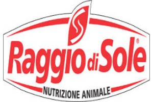 Raggio di sole