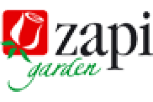 Zapi